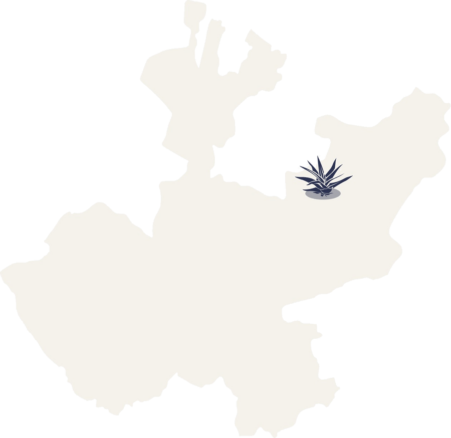 Mapa de Jalisco