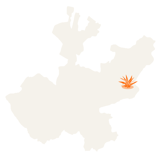 Mapa de Jalisco