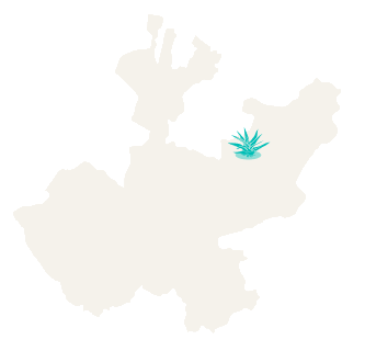 Mapa de Jalisco